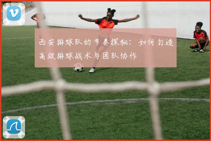 西安排球队的节奏探秘：如何打造高效排球战术与团队协作