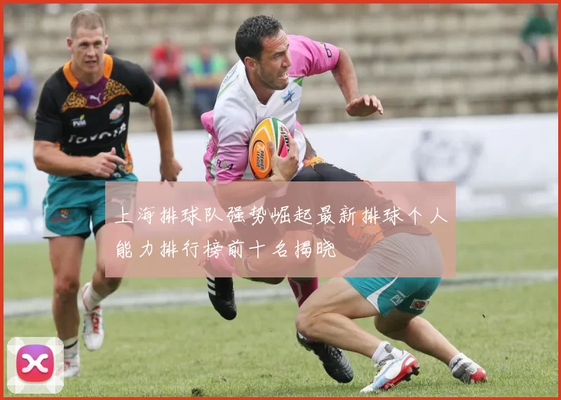 上海排球队强势崛起最新排球个人能力排行榜前十名揭晓