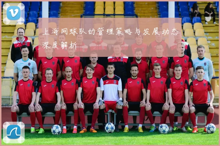 上海网球队的管理策略与发展动态深度解析
