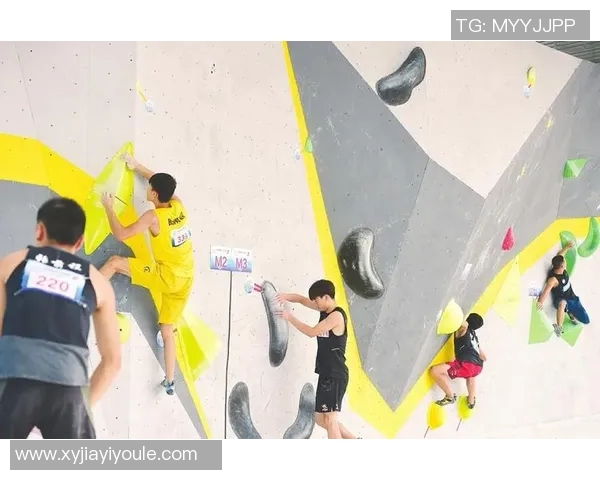 南京攀岩队的奋斗历程：勇攀高峰的青春故事与团队精神