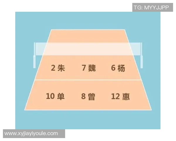 成都排球队中路突破战术解析与实战应用探讨