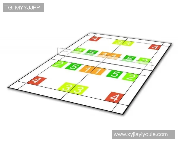 上海羽毛球队总决赛战术分析与表现评估探讨