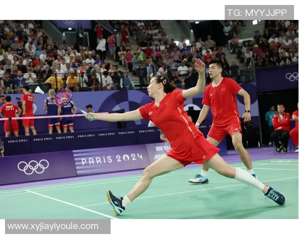 南京羽毛球队的整体压制解析与深度剖析羽毛球竞技的魅力与挑战