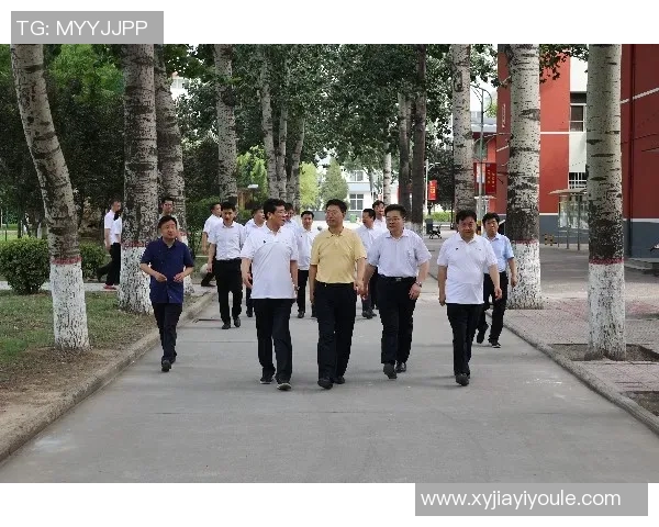 竞技体操规则全解与赛事评分标准详解分析